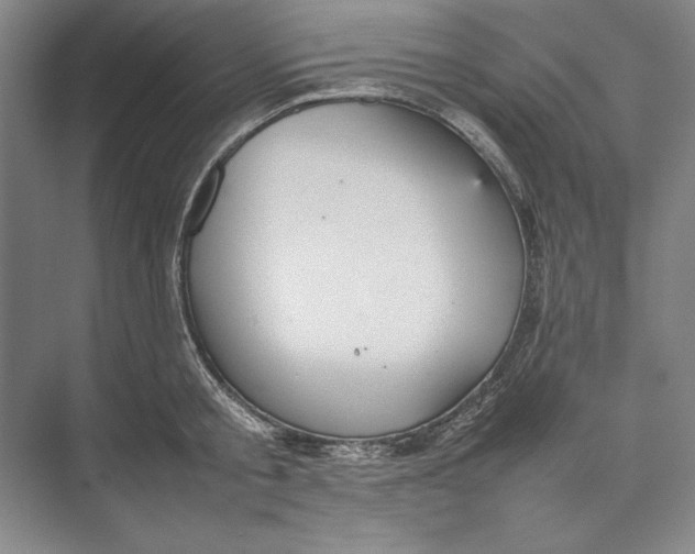 X0000074950805200609221729