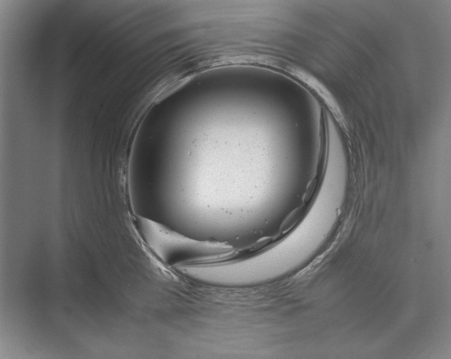 X0000074950809200609221729