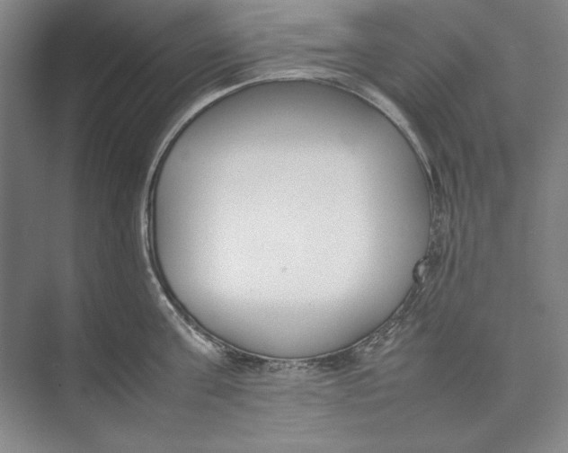 X0000074950811200609221729