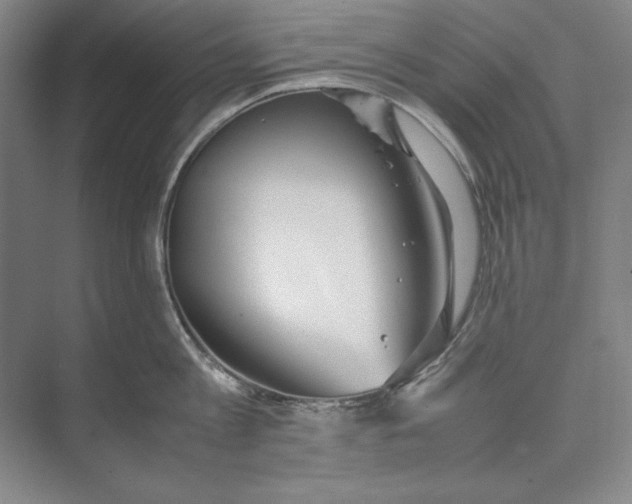 X0000074950813200609221729