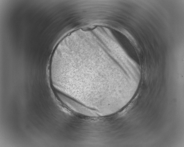 X0000074950814200609221729