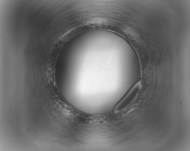 X0000074950822200609221728