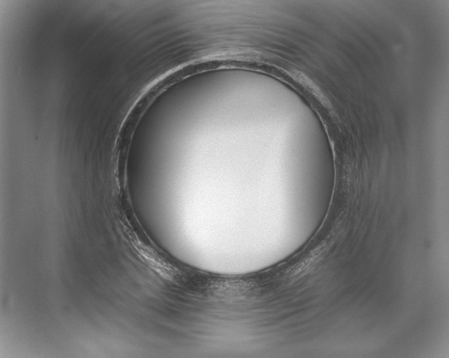 X0000074950830200609221729