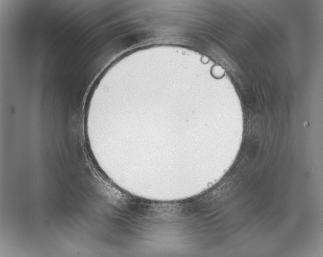X0000074950836200609221729