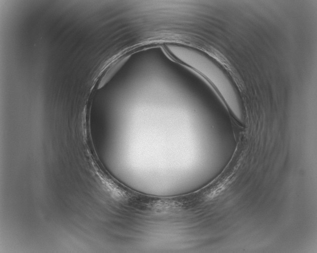 X0000074950842200609221729