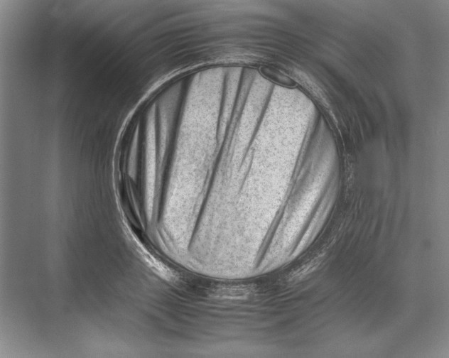 X0000074950843200609221729