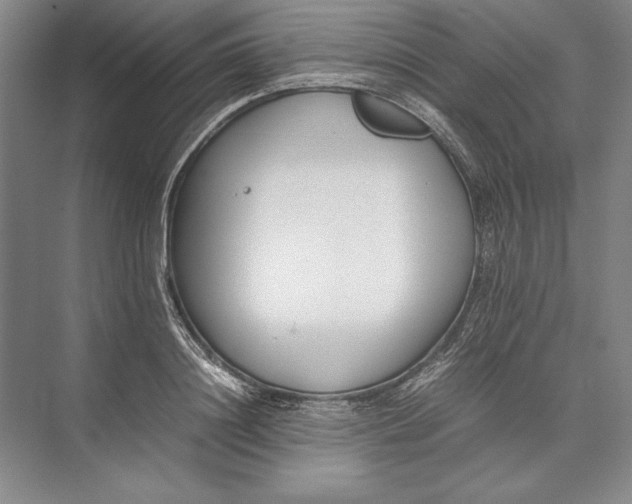 X0000074950844200609221729