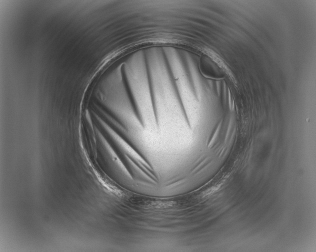 X0000074950845200609221729