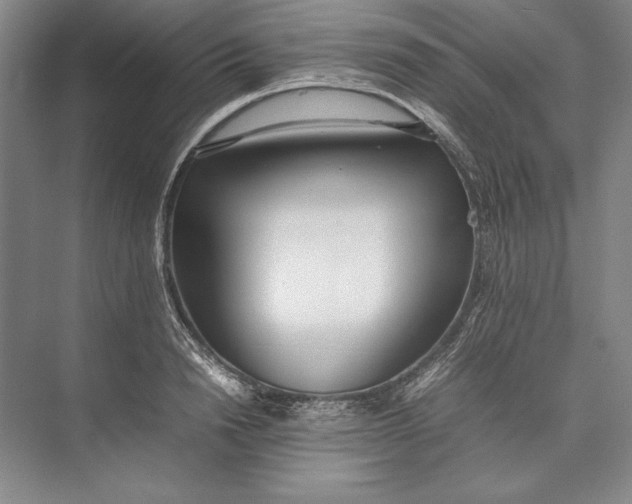X0000074950846200609221729