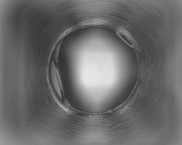 X0000074950850200609221729