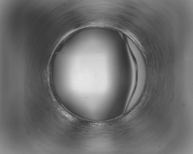 X0000074950854200609221729