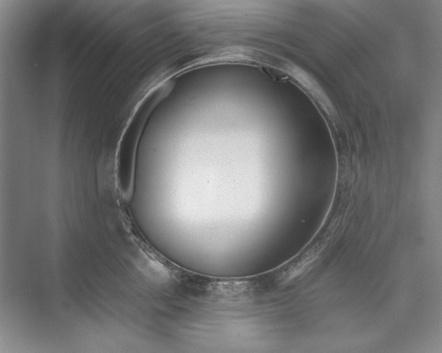 X0000074950858200609221729
