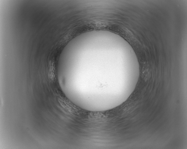 X0000074950866200609221728