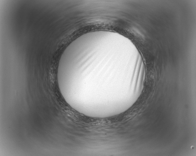 X0000074950869200609221728