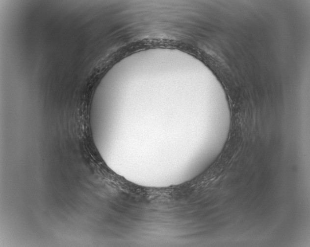 X0000074950870200609221728
