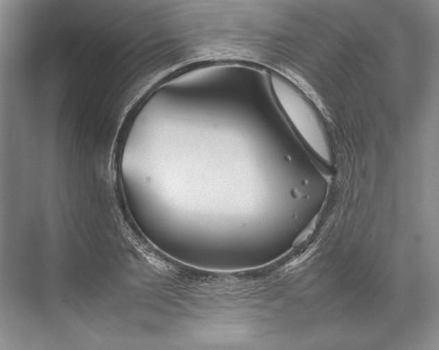 X0000074950885200609221728