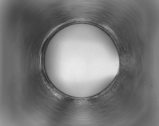 X0000074950886200609221728