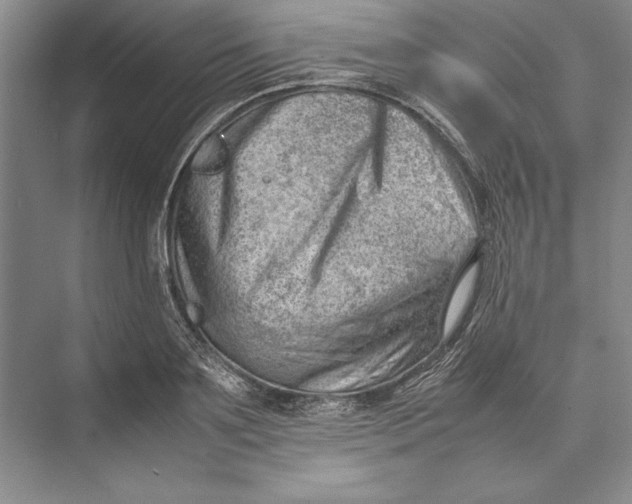 X0000074950891200609221728