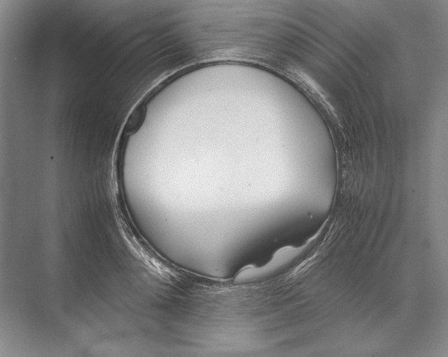 X0000074950892200609221728