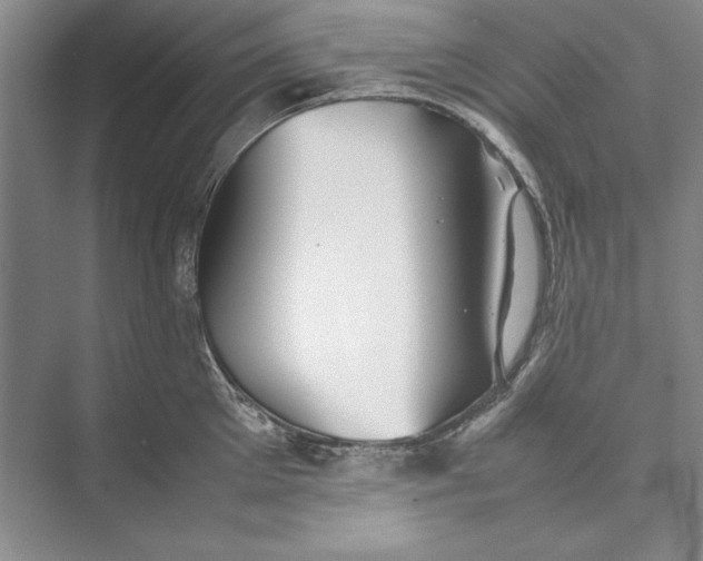 X0000074950905200609221728