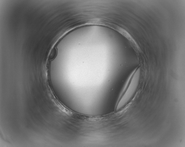 X0000074950908200609221728