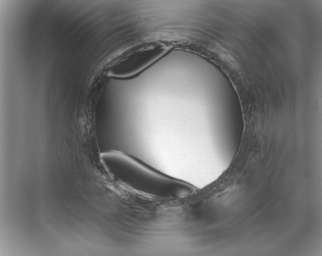 X0000074950920200609221727