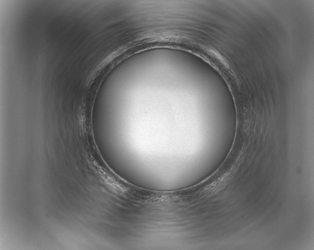 X0000074950922200609221727