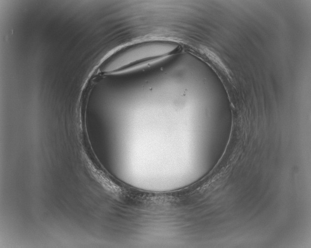 X0000074950934200609221727