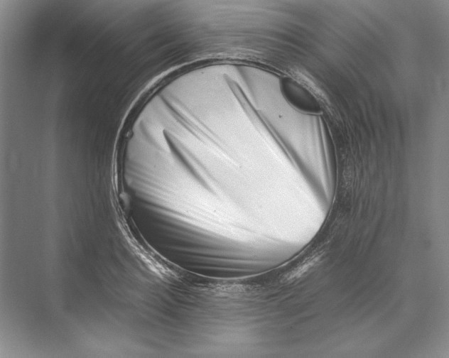 X0000074950940200609221727