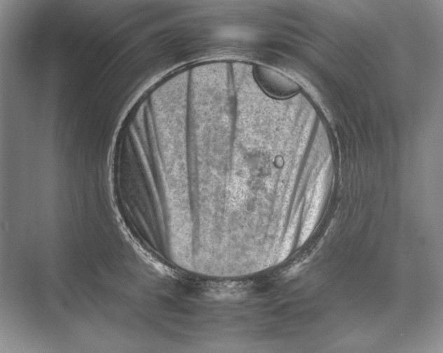 X0000074950949200609221727