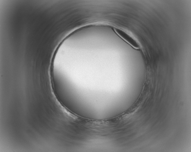 X0000074950959200609221728