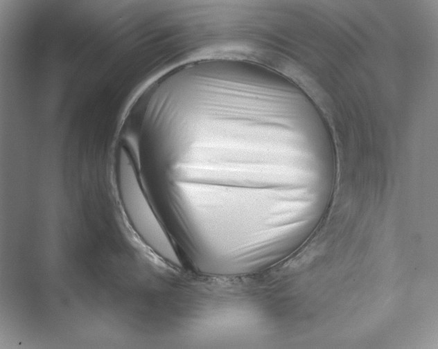 X0000074950960200609221728