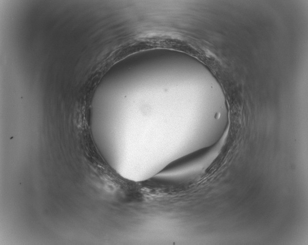 X0000074950965200609221727
