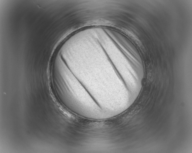 X0000074950990200609221726