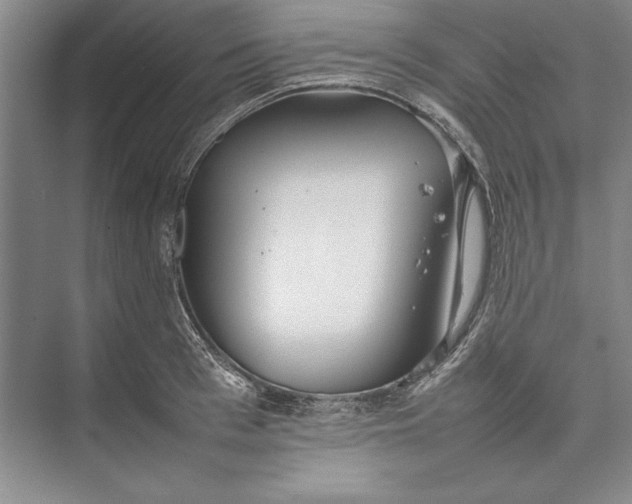 X0000074950993200609221726