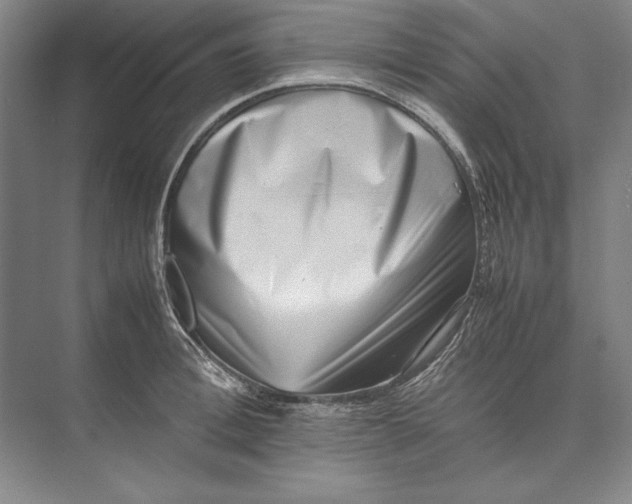 X0000074950996200609221726