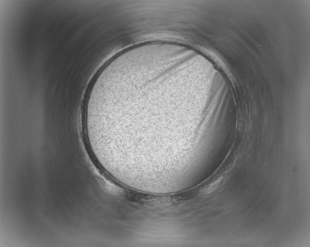 X0000074950999200609221726