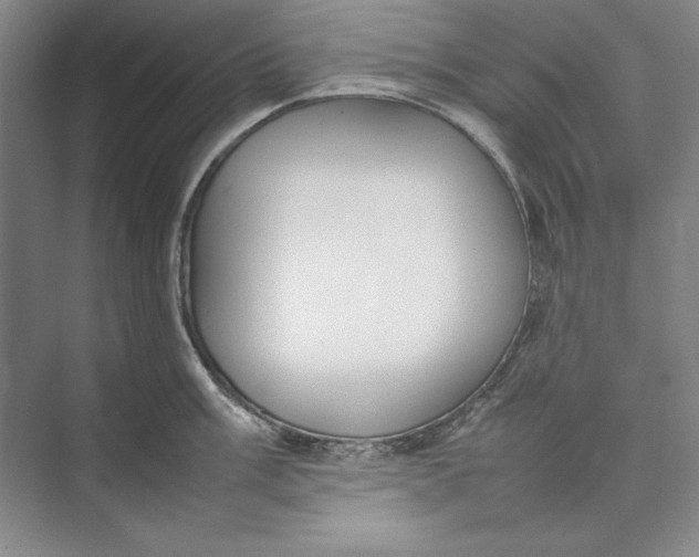 X0000074951003200609221726