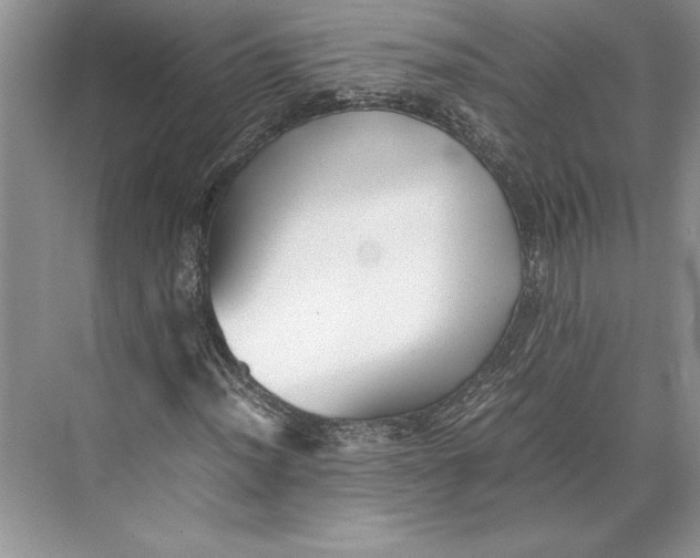 X0000074951012200609221725