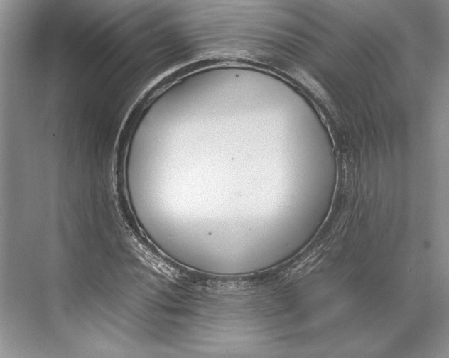 X0000074951020200609221725