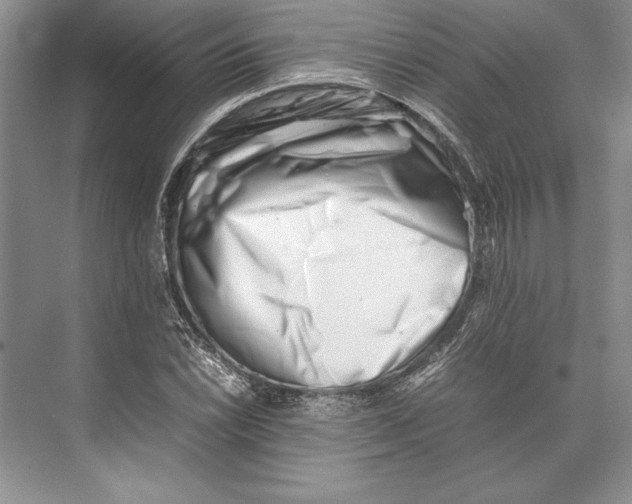 X0000074951022200609221725