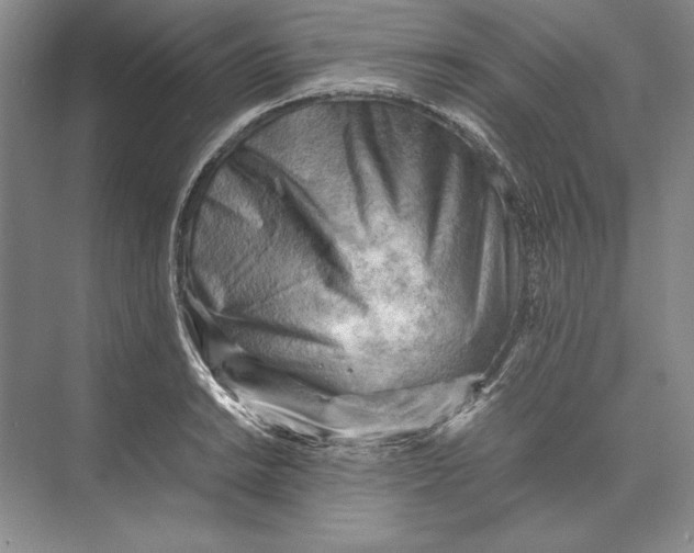 X0000074951038200609221726