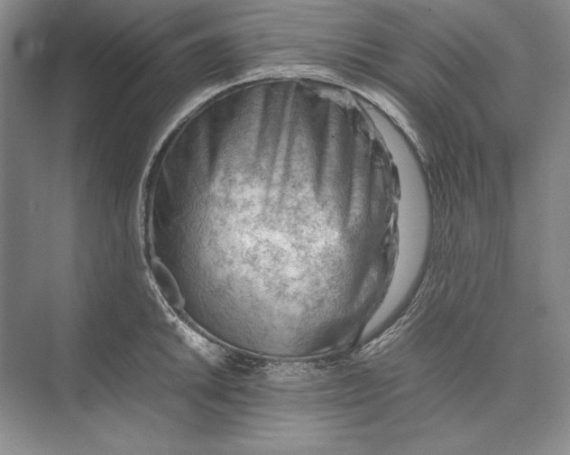 X0000074951046200609221726