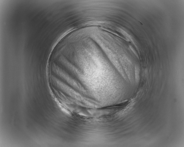 X0000074951050200609221726