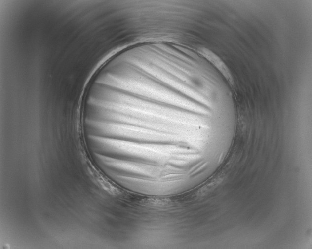 X0000074951052200609221726