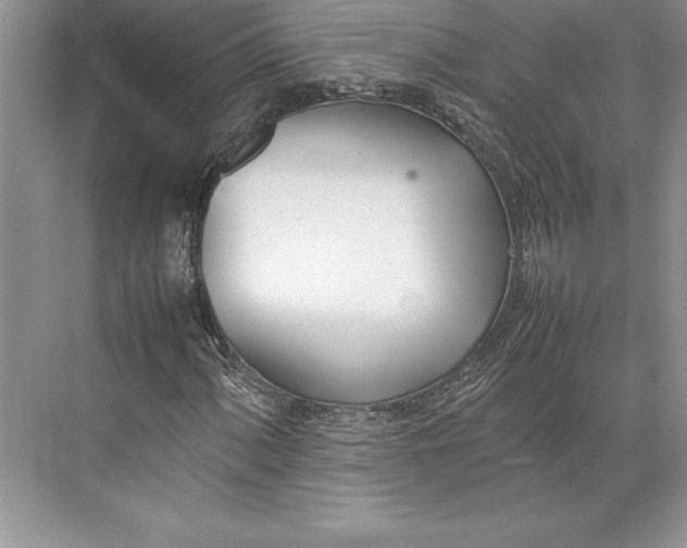 X0000074951060200609221725