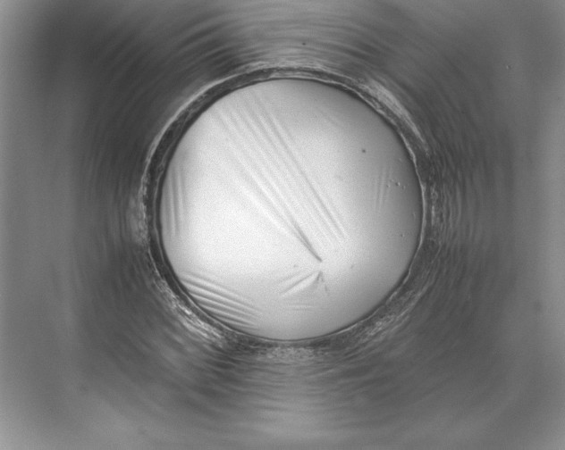 X0000074951068200609221725