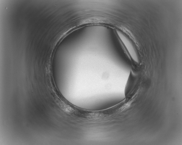 X0000074951081200609221725