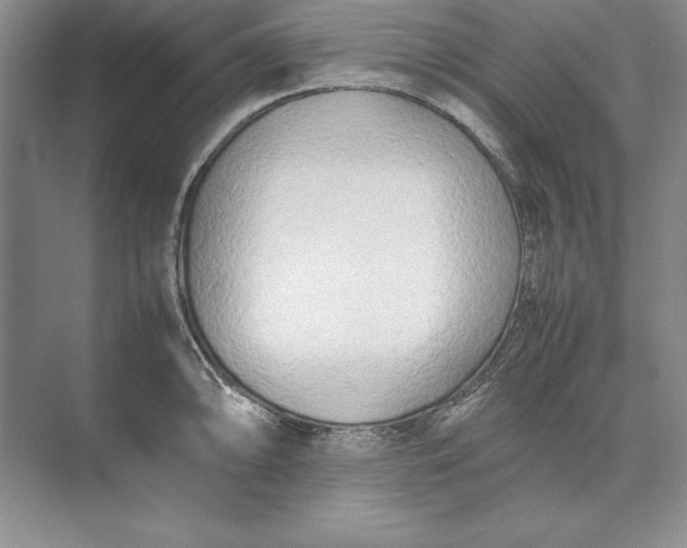 X0000074951094200609221724