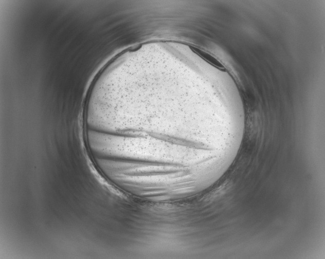 X0000074951100200609221724